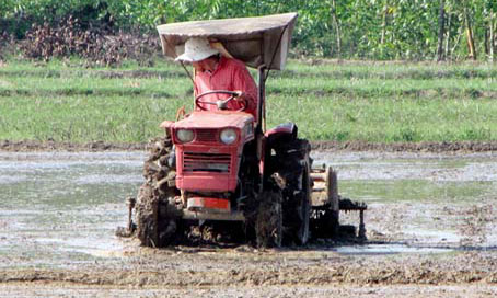 Chuẩn bị cho vụ sản xuất mới. Ảnh: K.Minh