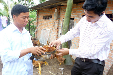 Nông dân bắt gà nhờ cán bộ kỹ thuật Hóa kiểm tra sức khỏe.   