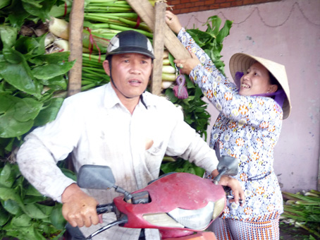 Để có những bó rau tươi, ngon, hấp dẫn gà vịt, hàng ngày ông Bảy Hoàng phải vượt qua nhiều con kênh, đầm lầy để săn tìm.   Ảnh: Đ.Phú