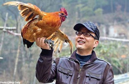 Yang và chú gà đắt giá của mình (Ảnh: China Daily/Asia News Network)