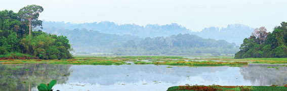  Bàu Sấu ở Vườn quốc gia Cát Tiên.