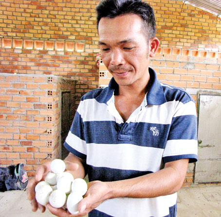Anh Nguyễn Lê Đức ở ấp Suối Cát 2, xã Suối Cát (huyện Xuân Lộc) kiểm tra trứng rắn đang ấp.
