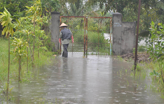 Một người dân xã Hiệp Hòa tìm cách thoát nước ngập trước nhà