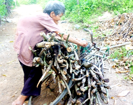 Việc thường ngày của cụ Đặng Thị Lụa là đi thồ củi đổi gạo sống qua ngày.