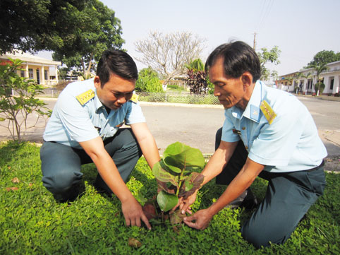Trung tá chuyên nghiệp Cao Văn Tuấn, thứ 2 (bên phải)đang trồng cây bàng vuông tại đơn vị được mang về từ Trường Sa. Ảnh: Thanh Phương