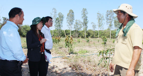 Đoàn giám sát HĐND tỉnh thăm mô trồng cây xoài Thái tại hộ gia đình ông Tòng Bá Tài, xã Suối Nho.
