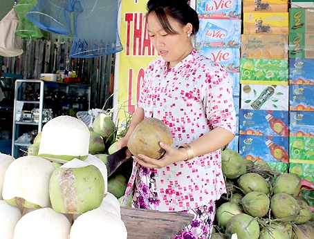 Giá dừa tươi tăng gần gấp đôi so với đầu mùa khô. Trong ảnh: Đại lý bán dừa tại chân cầu Hóa An, thuộc xã Hóa An (TP. Biên Hòa). Ảnh: H.Giang