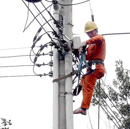 Nhân viên Công ty TNHH một thành viên điện lực Đồng Nai sửa chữa, nâng cấp đường dây.