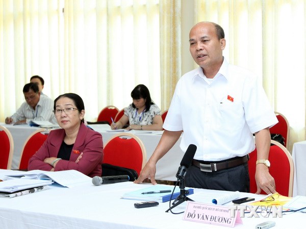 Đại biểu Quốc hội thành phố Hồ Chí Minh Đỗ Văn Đương phát biểu tại tổ. (Ảnh: TTXVN)