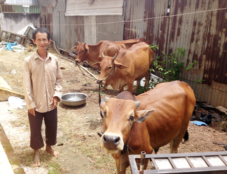 Ông Nguyễn Xuân Bình vui mừng bên số bò công an thu hồi trả lại cho mình.