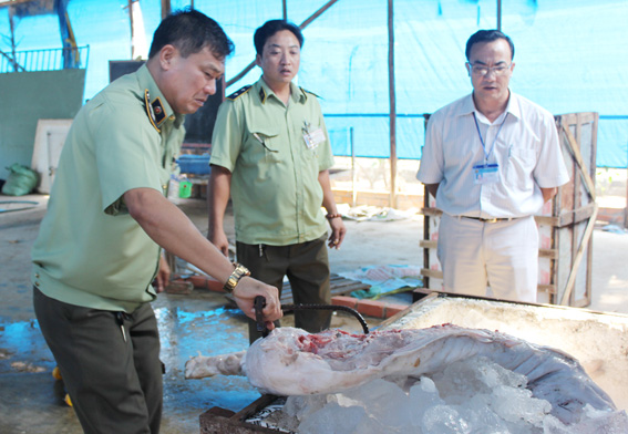 Đội Quản lý thị trường số 1 bắt giữ vụ giết mổ heo bệnh, chết tại huyện Thống Nhất