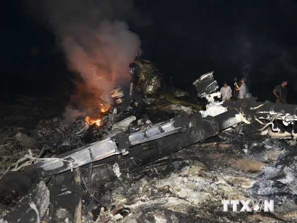 Hiện trường máy bay rơi. (Nguồn: AFP/TTXVN)