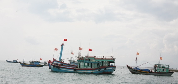 tàu cá neo đậu trên đảo Lý Sơn