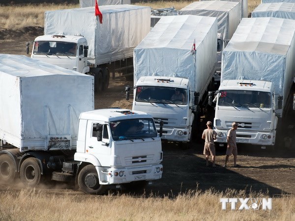 Đoàn xe chở hàng viện trợ nhân đạo ở điểm kiểm soát Donetsk tại khu vực biên giới ngày 17/8. (Ảnh: AFP/TTXVN)
