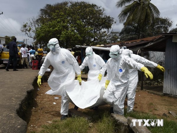  Nhân viên y tế chuyển thi thể nạn nhân của dịch Ebola tại thủ đô Monrovia, Liberia. (Nguồn: AFP/TTXVN)