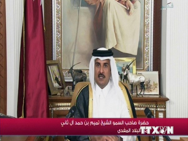 Quốc vương Sheikh Tamim bin Hamad al-Thani phát biểu trên truyền hinh năm 2013. (Ảnh: AFP/TTXVN)