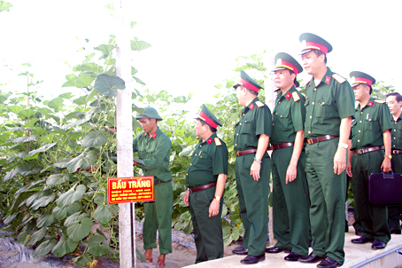 Đại tá Phan Bá Dân, Phó chủ nhiệm Tổng cục Hậu cần cùng đoàn cán bộ Tổng cục Hậu cần tham quan khu vực trồng cây dây leo ở Sư đoàn 309 vào tháng 11-2014.