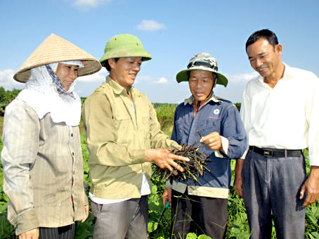 Ông Nguyễn Thế Thủ (thứ hai, từ phải qua) đang trao đổi với nông dân Bàu Cối chuẩn bị đất cho vụ rau củ quả đón tết.