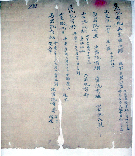 Một trang văn bản của gia phả dòng họ Nguyễn Hữu.