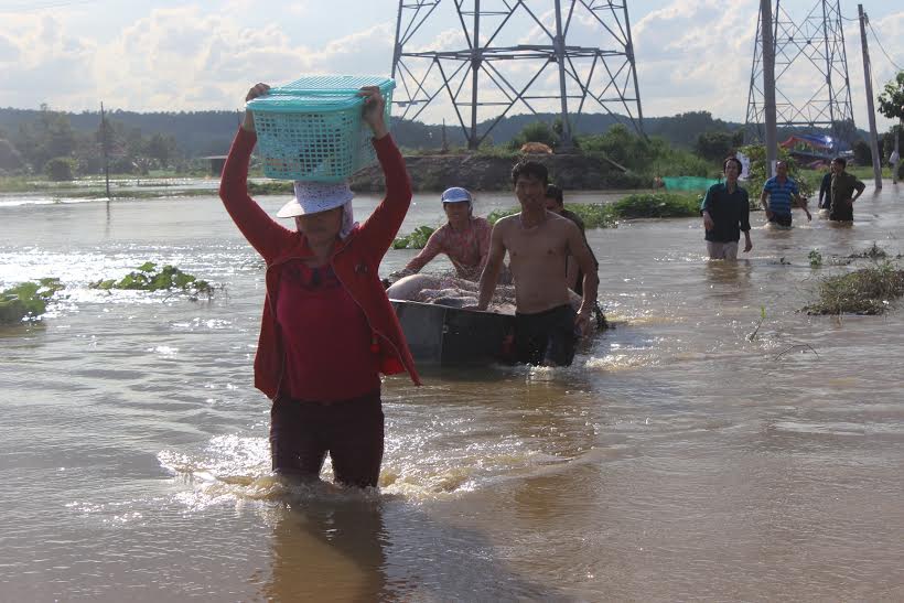 trắng tay và họ cứ đứng ngơ ngác nhìn ao cá và không tin nổi gia tài mất hết