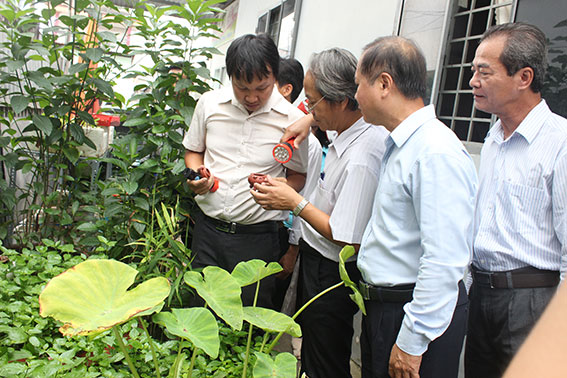 Giám đốc Sở Y tế Huỳnh Minh Hoàn (thứ 2 từ phải qua) giám sát công tác triển khai chiến dịch diệt lăng quăng tại phường Long Bình, TP.Biên Hòa.