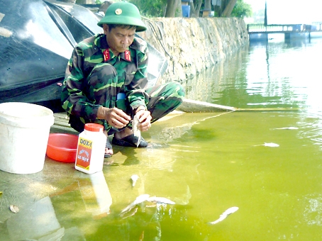 Trung tá Lê Văn Minh kiểm tra cá chết để xử lý nguồn nước bị ô nhiễm.