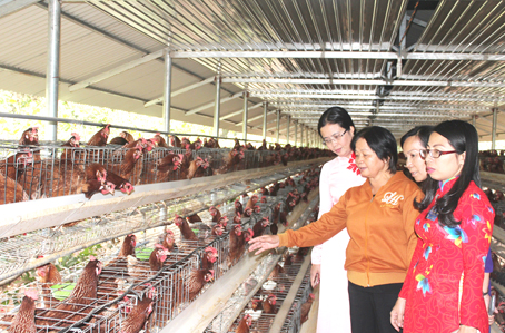 Chủ tịch Hội Liên hiệp phụ nữ tỉnh Lê Thị Ngọc Loan (bìa trái) tham quan mô hình chăn nuôi gà đẻ trứng của bà Cao Thị Toái (thứ 2 từ trái qua).  Ảnh: N. Sơn