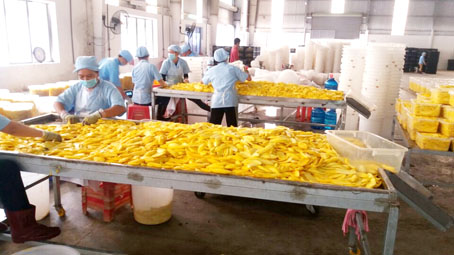 Chế biến xoài tại Hợp tác xã chế biến xoài xuất khẩu La Ngà (huyện Định Quán).