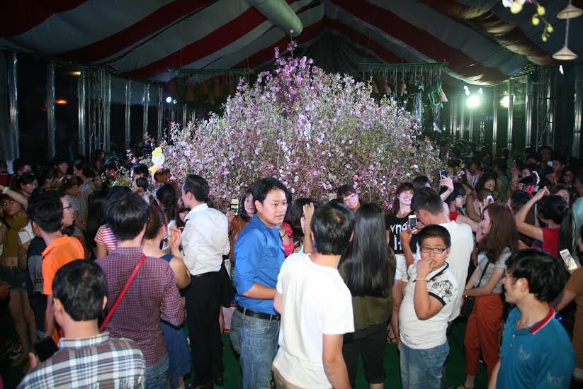rất đông người dân đến với lễ hội hoa anh đào tại Đồng Nai trong tối ngày 23-4.