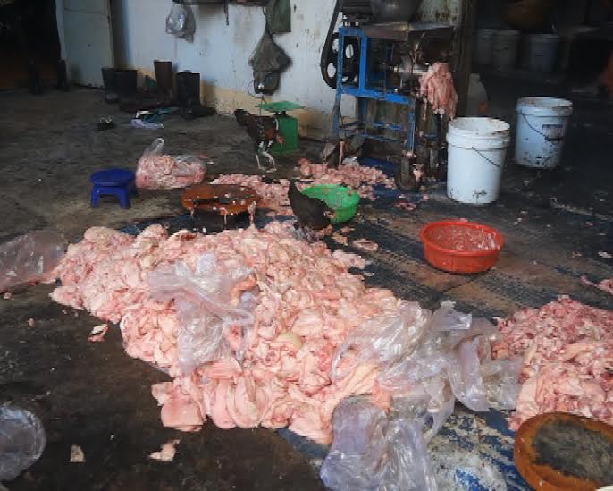 Kinh tởm lò chế biến mỡ bẩn