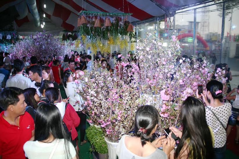 Rất đông người dân đến với lễ hội hoa anh đào tại Đồng Nai vào tối  24-4