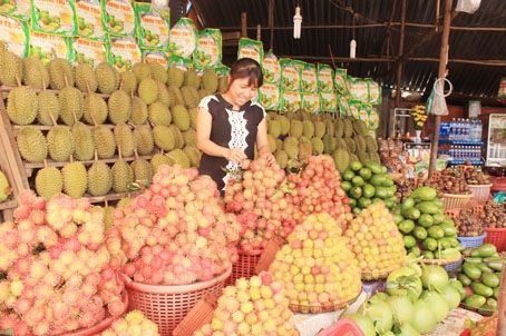 Chôm chôm Long Khánh được vào “bảng vàng” đặc sản quốc gia.  Trong ảnh: Điểm bán đặc sản trái cây Long Khánh tại xã Xuân Tân.