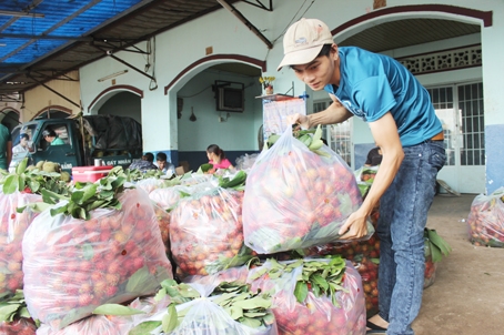 Vựa trái cây Thanh Trung tại bến xe Long Khánh.