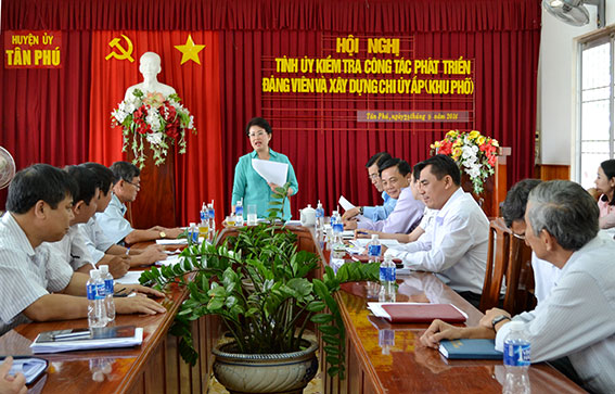  Đồng chí Phan Thị Mỹ Thanh, phát biểu tại hội nghị.