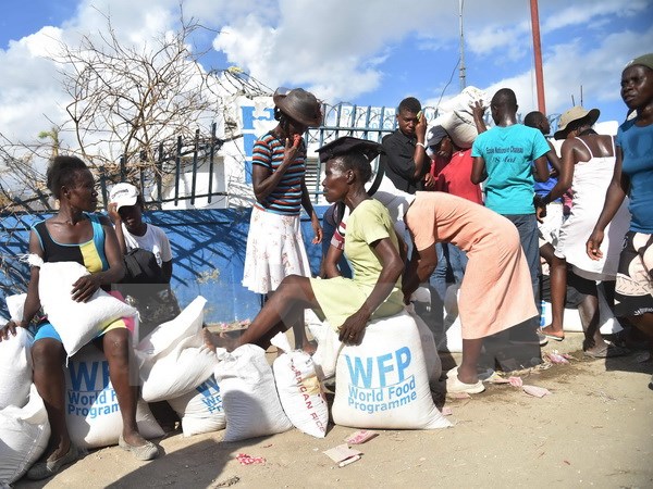 Người dân Haiti nhận hàng cứu trợ sau bão Matthew ở Les Cayes, ngày 12/10. (Nguồn: AFP/TTXVN)