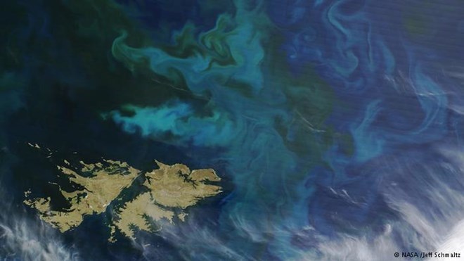 Quần đảo tranh chấp Malvinas/Falklands. (Nguồn: NASA)