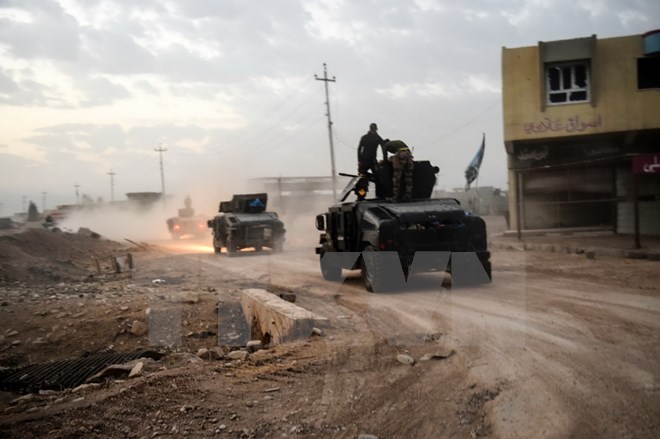 Lực lượng chống khủng bố Iraq tiến vào thị trấn Bazwaia, phía nam Mosul ngày 31/10. (Nguồn: AFP/TTXVN)