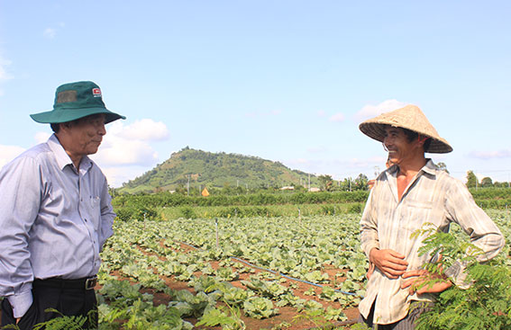 Phó bí thư thường trực Tỉnh ủy Trần Văn Tư thăm vùng chuyên canh rau tại xã Xuân Đông.