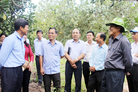 Phó bí thư thường trực Tỉnh ủy Trần Văn Tư (bìa phải) thăm Hợp tác xã nông nghiệp An Viễn (huyện Trảng Bom), nơi thực hiện dự án cánh đồng lớn cho cây điều.