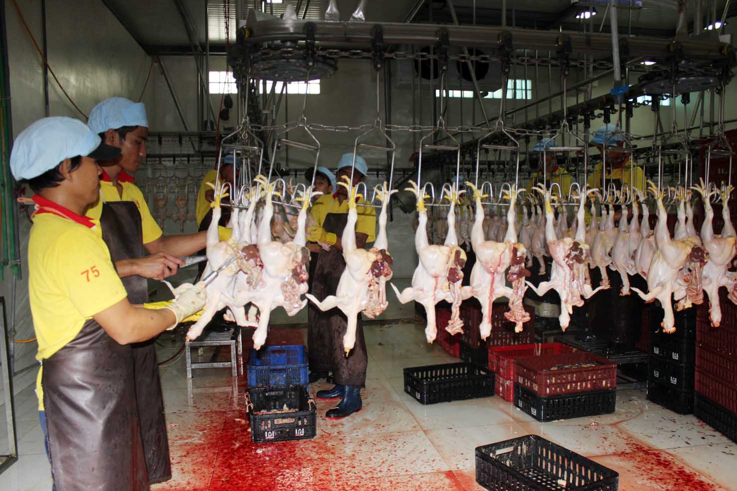 Dây chuyền giết mổ gà tại huyện Trảng Bom của Công ty TNHH chăn nuôi Long Bình (TP.Hồ Chí Minh).