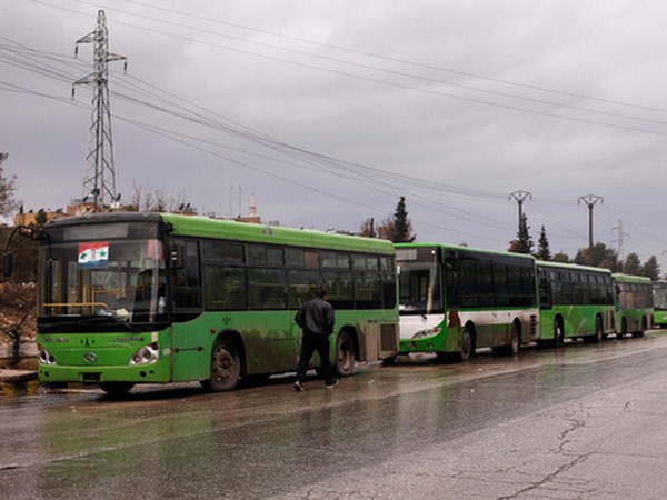 Đoàn xe đợi đưa các tay súng nổi dậy sơ tán khỏi Aleppo. (Nguồn: Reuters)