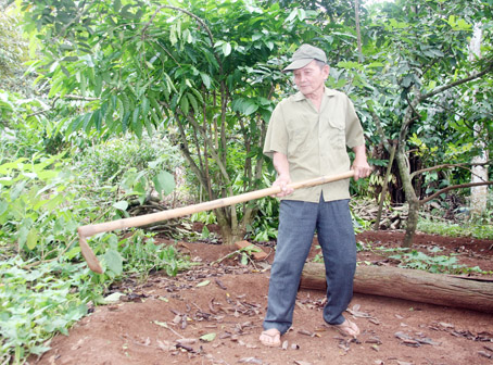Dù đã 75 tuổi nhưng ông Nguyễn Văn Sang (xã Xuân Thạnh, huyện Thống Nhất) vẫn cần cù lao động để làm gương cho con cháu, xóm làng.