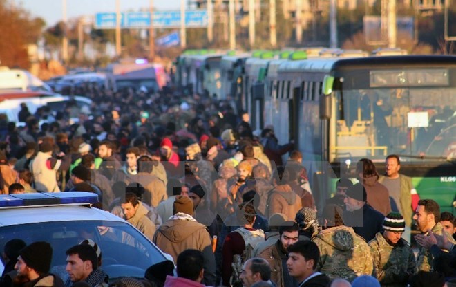 Đoàn đưa người dân sơ tán khỏi miền đông Aleppo ngày 15/12. (Nguồn: AP/TTXVN)