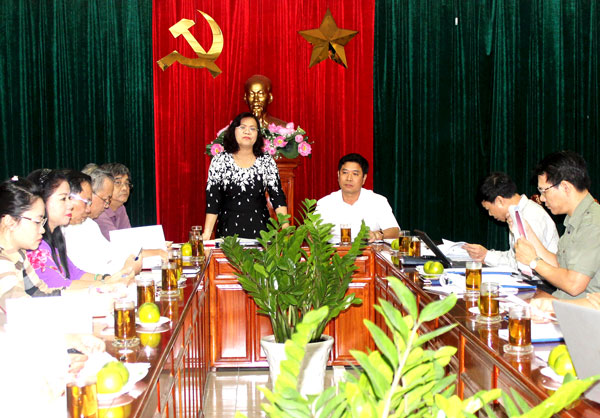 Phó Chủ tịch UBND tỉnh Nguyễn Hòa Hiệp phát biểu tại buổi làm việc.