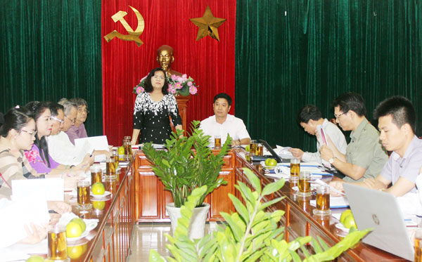 Phó chủ tịch UBND tỉnh Nguyễn Hòa Hiệp phát biểu tại buổi làm việc. Ảnh: Công Nghĩa