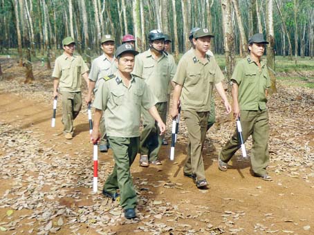 Lực lượng bảo vệ Nông trường cao su Bình Sơn trên đường tuần tra bảo vệ vườn cây. Ảnh: Đ. Việt