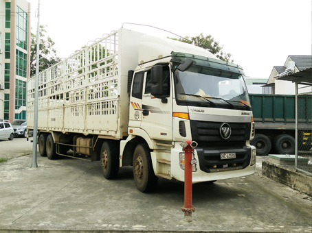 Chiếc xe tải do Nguyễn Quốc Phong chở 145 con heo đi biệt tăm.