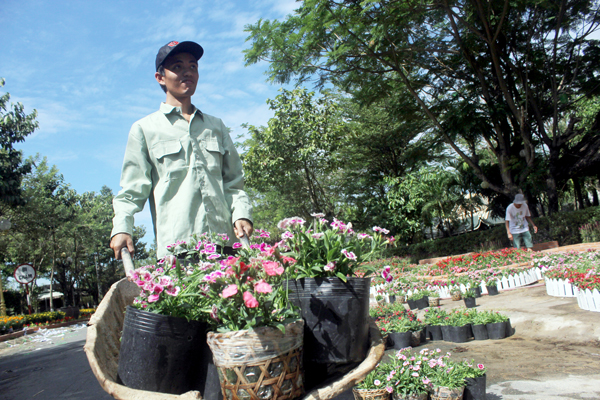 Các công nhân đang tích cực hoàn thiện các cảnh quan, vườn hoa trước và trong khuôn viên của văn miếu.
