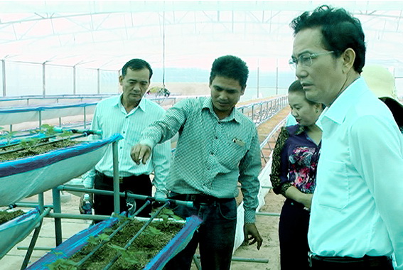 Phó chủ tịch UBND tỉnh Võ Văn Chánh tham quan mô hình sản xuất nông nghiệp có ứng dụng công nghệ cao tại xã Xuân Trường