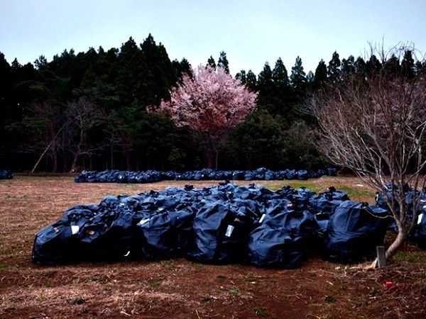 Những túi chứa đất nhiễm phóng xạ chưa được xử lý vẫn để khắp làng (ảnh Yuki Iwanami)